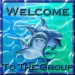 welcome.dolphin